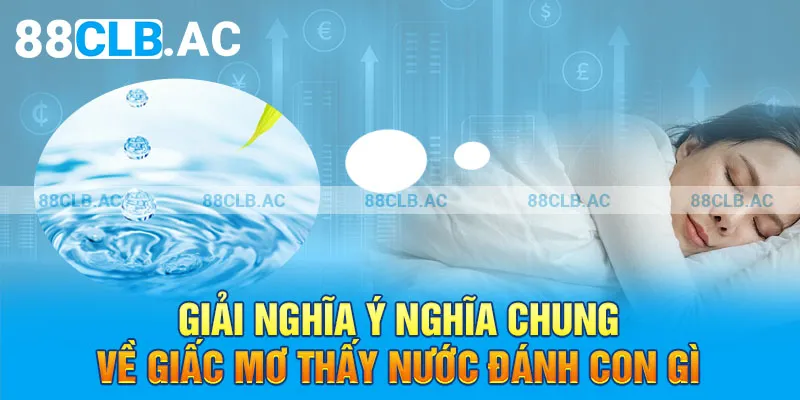 Giải nghĩa ý nghĩa chung về giấc mơ thấy nước đánh con gì