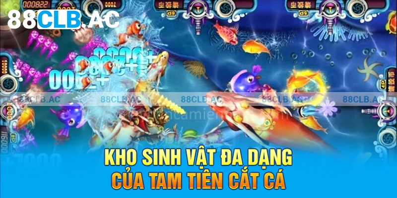 Kho sinh vật đa dạng của Tam tiên cắt cá